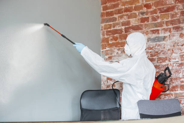 Best Commercial Mold Inspection  in Hebron, IL