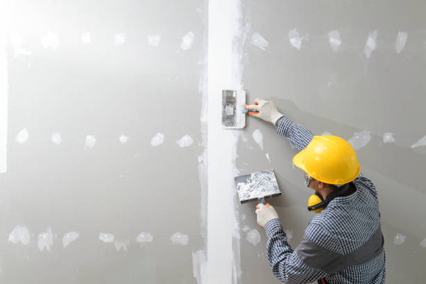 Best Water Damage & Mold Remediation  in Hebron, IL