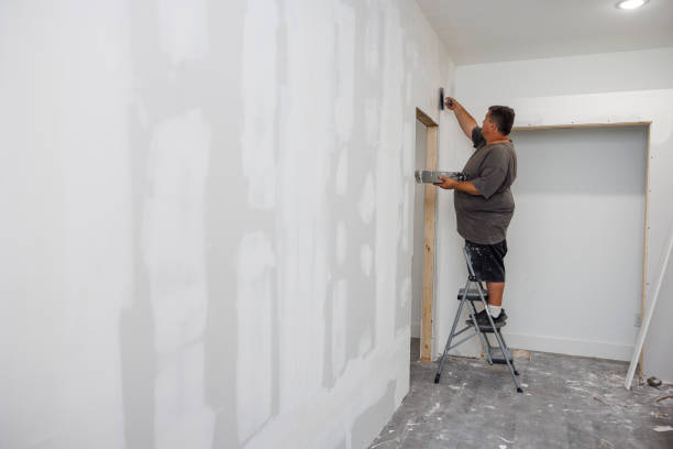 Best Basement Mold Removal  in Hebron, IL
