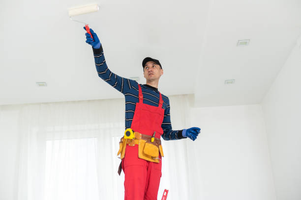 Best Mold Damage Restoration  in Hebron, IL
